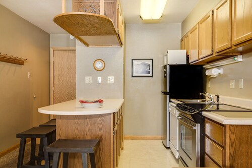 Affordable Ski-in/out condo in Ctr Village, Ski Mtn view, Free Wifi/free pkg.