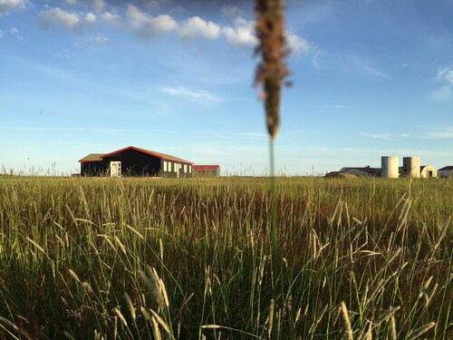 Lindartún Guesthouse