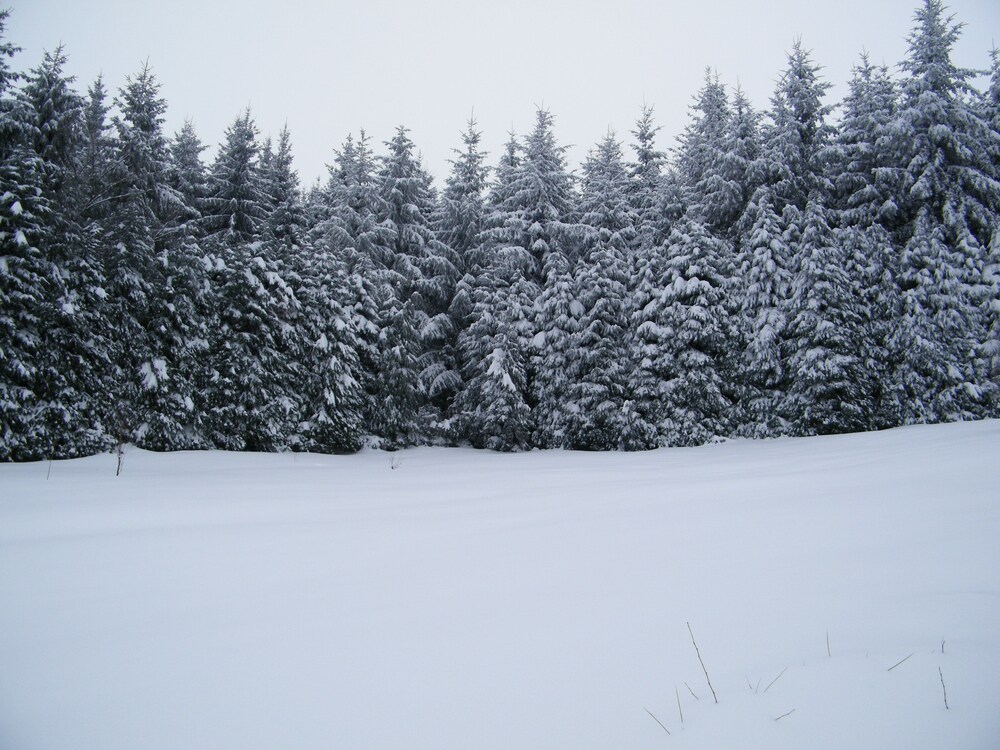 Sports d'hiver