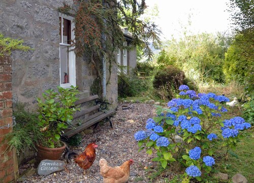 Self Catering Cottage On The Shore Of Loch Linnhe Ballachulish near Glencoe