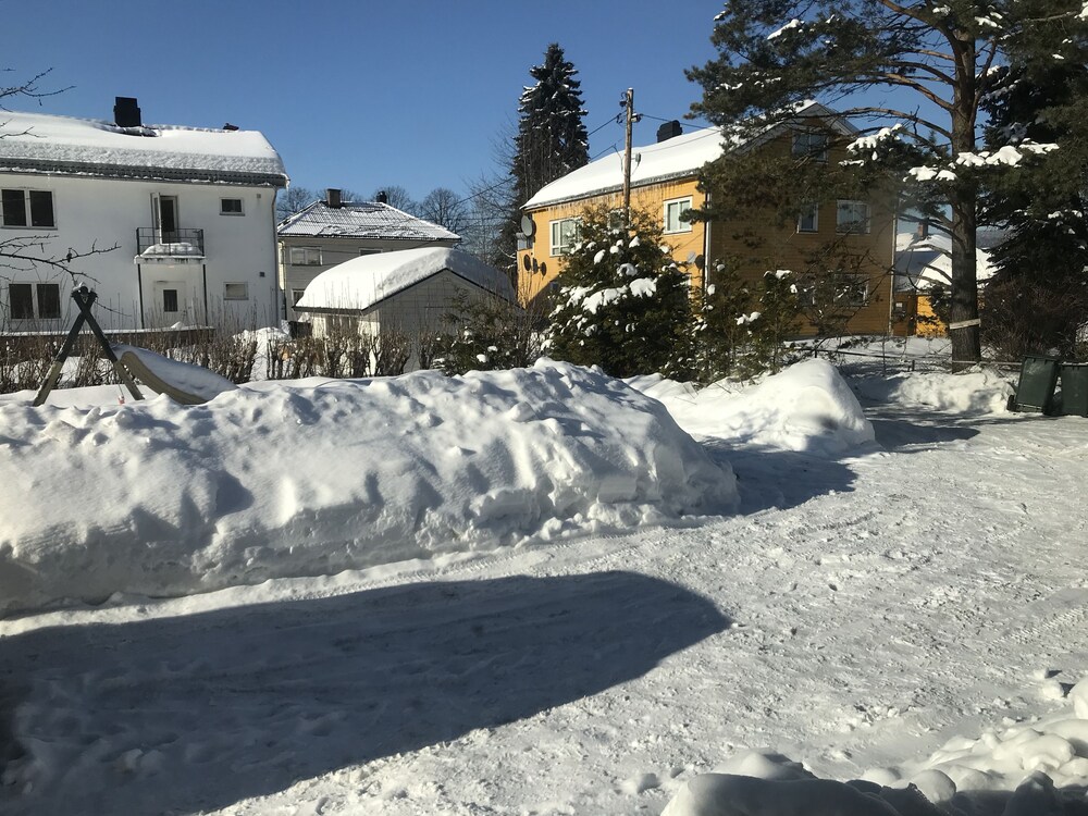 Utvalgt bilde