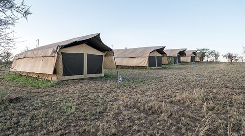 Serengeti Wildebeest Camp