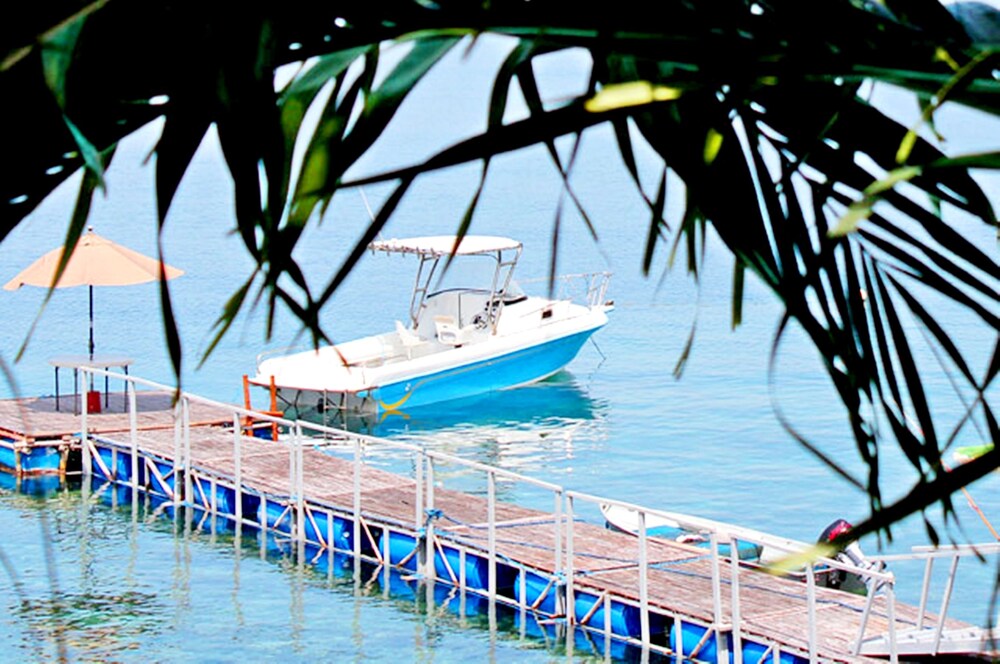 Dock