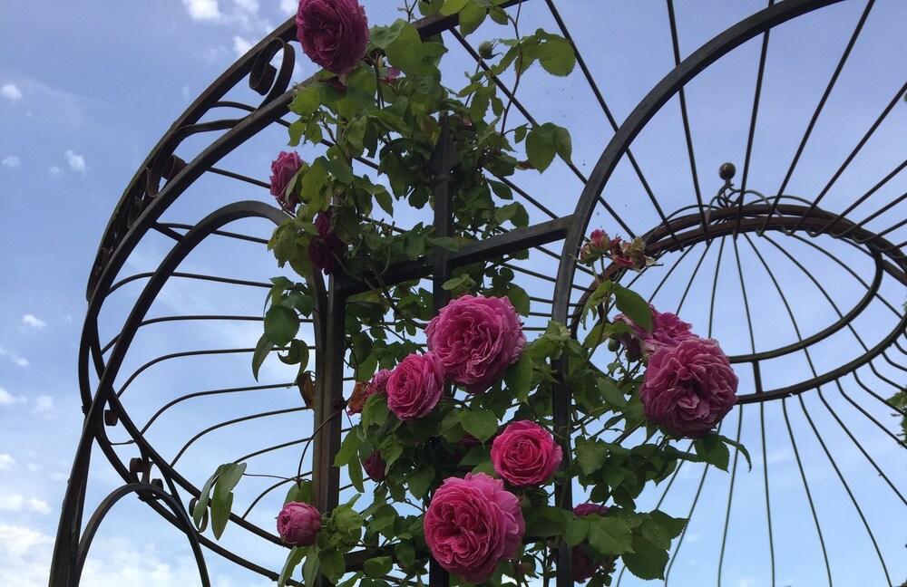 Jardin
