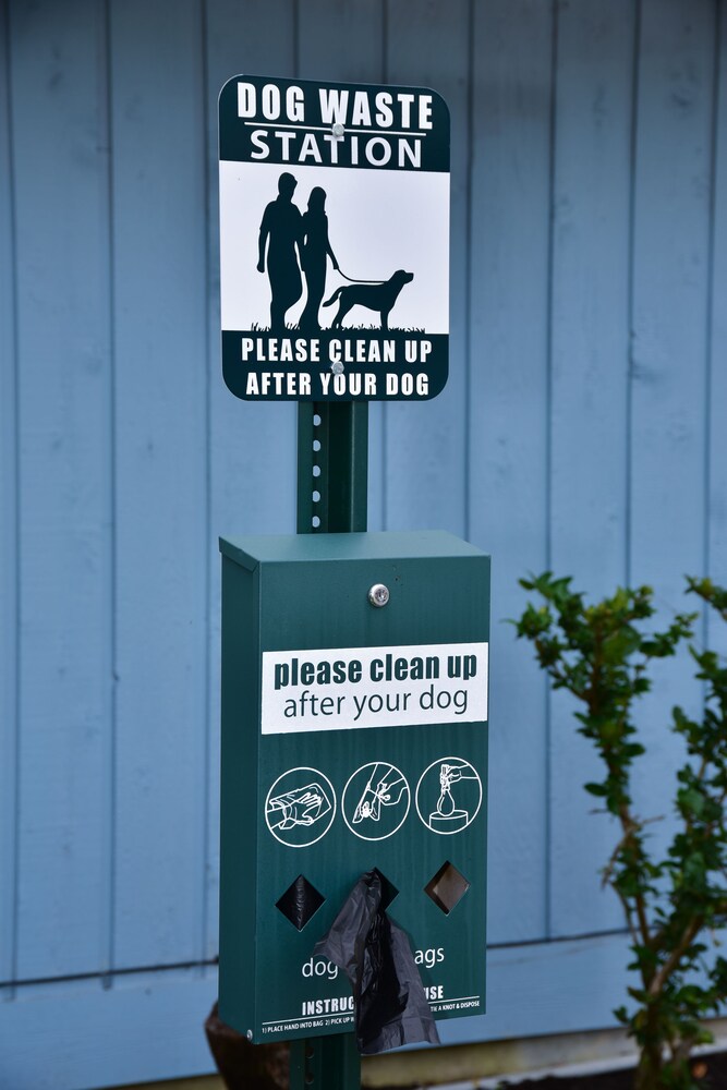 Pet-Friendly