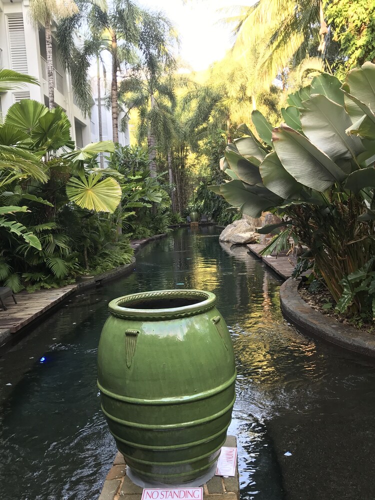 Natural Pool