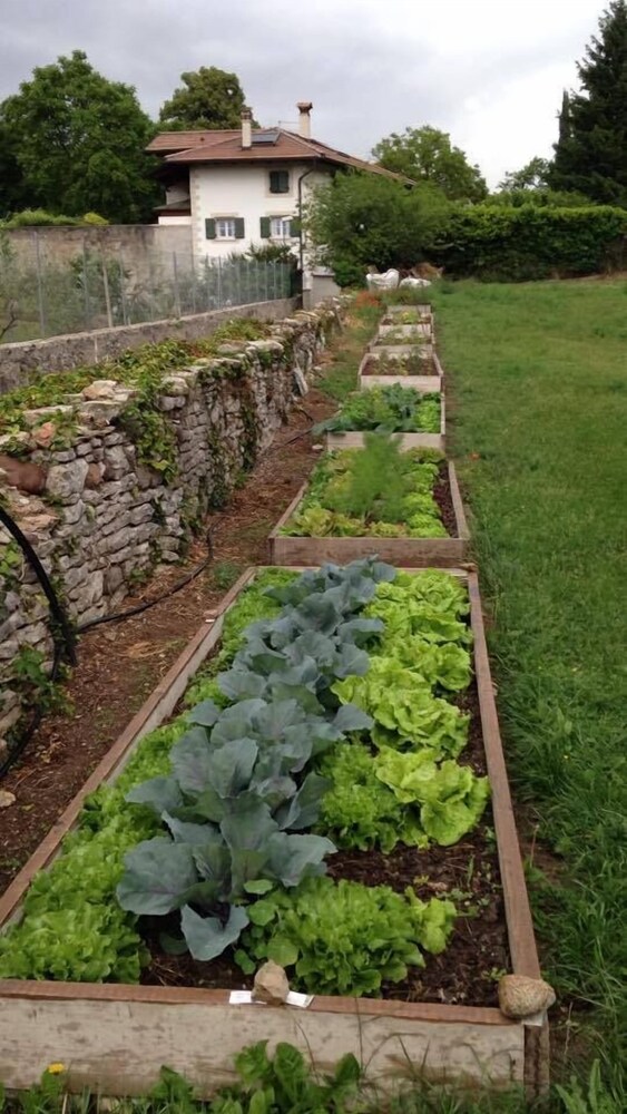 Giardino