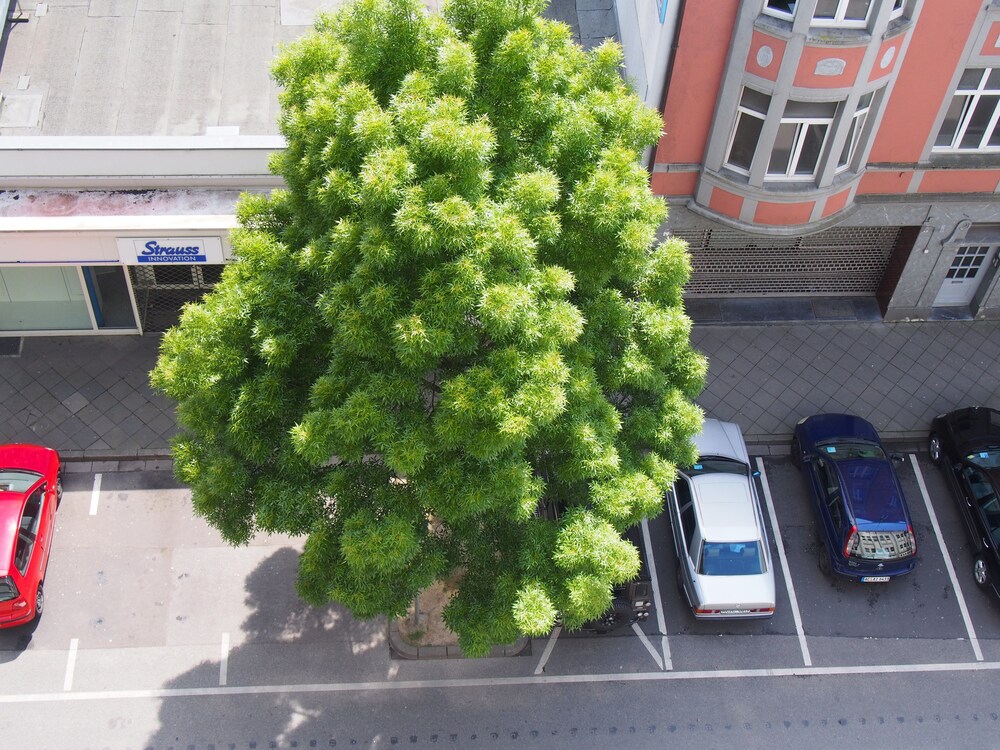 Blick auf die Straße