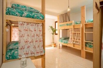 Avocado Surf Hostel
