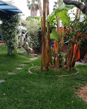 Cubicula Hospitalia B&B