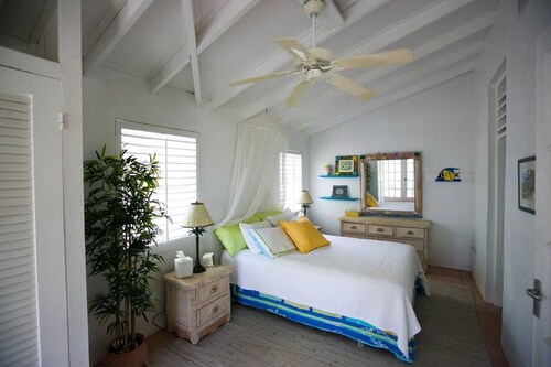 Beautiful Hibiscus House
