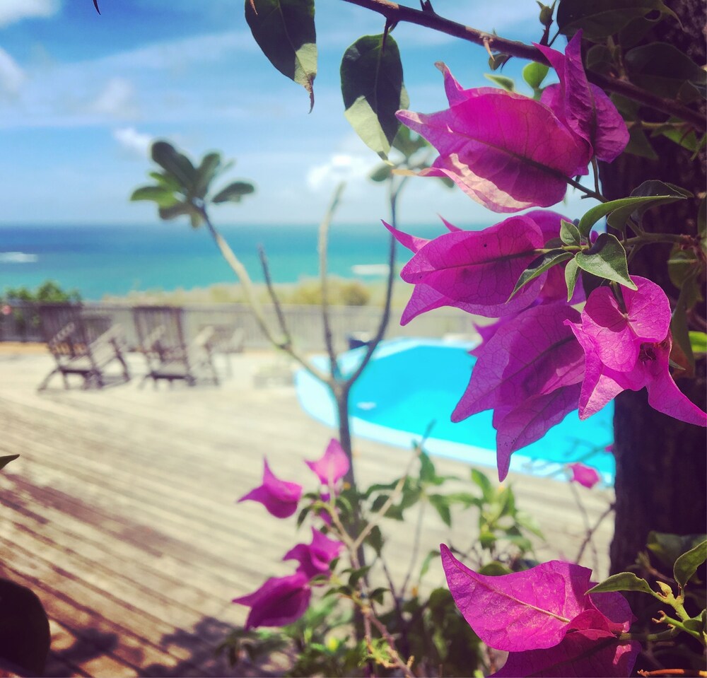 Vista dall'hotel