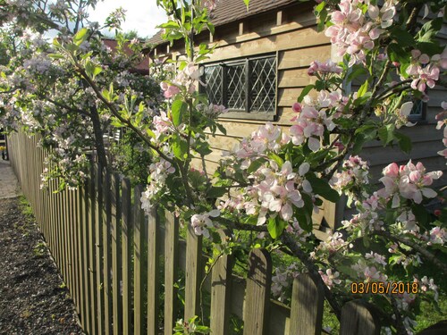 HOP BINE COTTAGE and GRANARY , ONLY AVAILABLE WEEKENDS , in Kent countrside