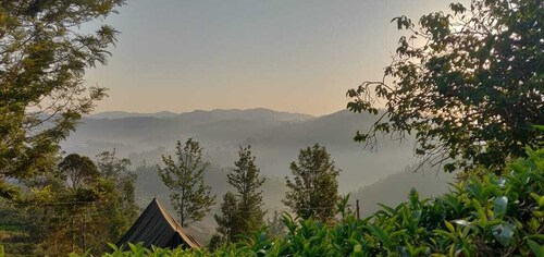 Janardan Tea Resort