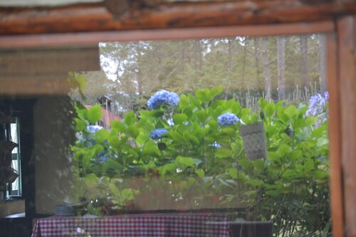 Villa Pajon Eco Lodge