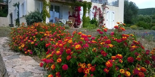 Serraggia Roccapina : maison spacieuse, à 20 mn de Sartène, à 30 mn de Bonifacio