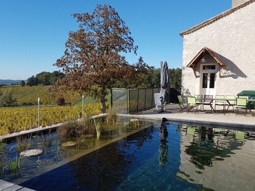 Demeure du 15 siècle avec ses vignes, sa piscine naturelle, proche de bergerac
