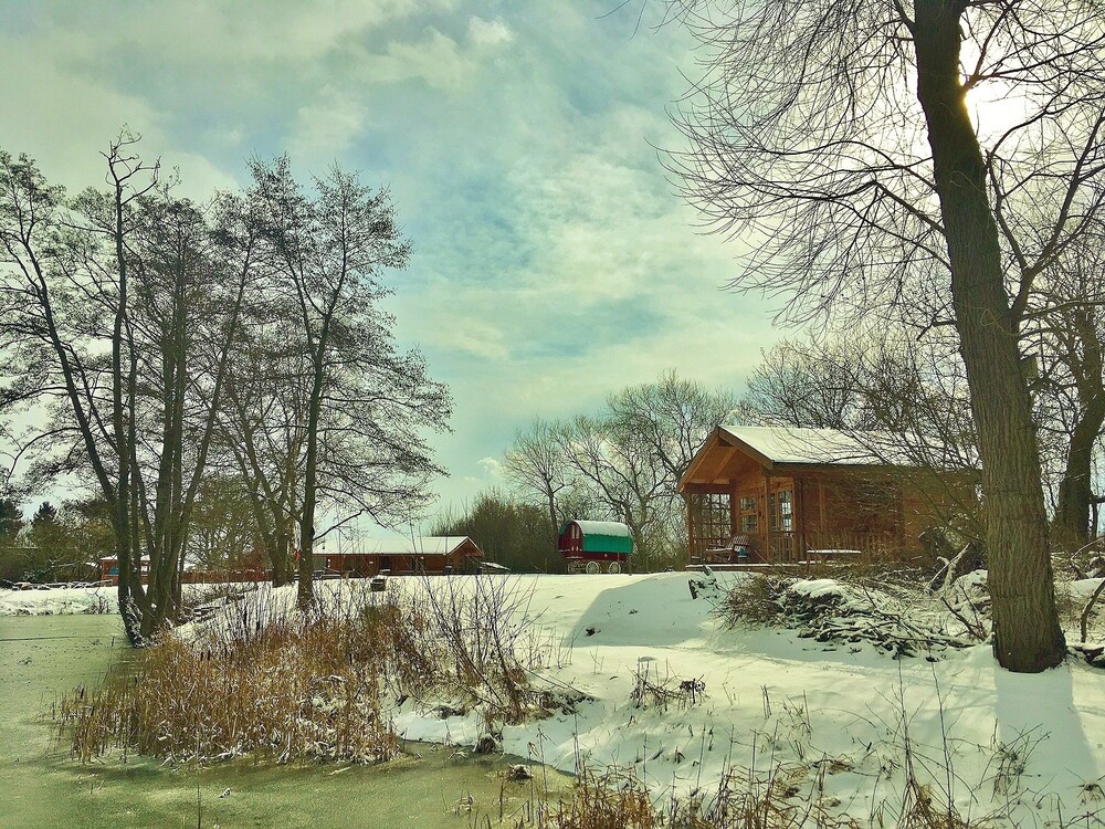 Romantic Cabin, 1 King Bed, Lake View (Bluebell Log Cabin) - Guestroom