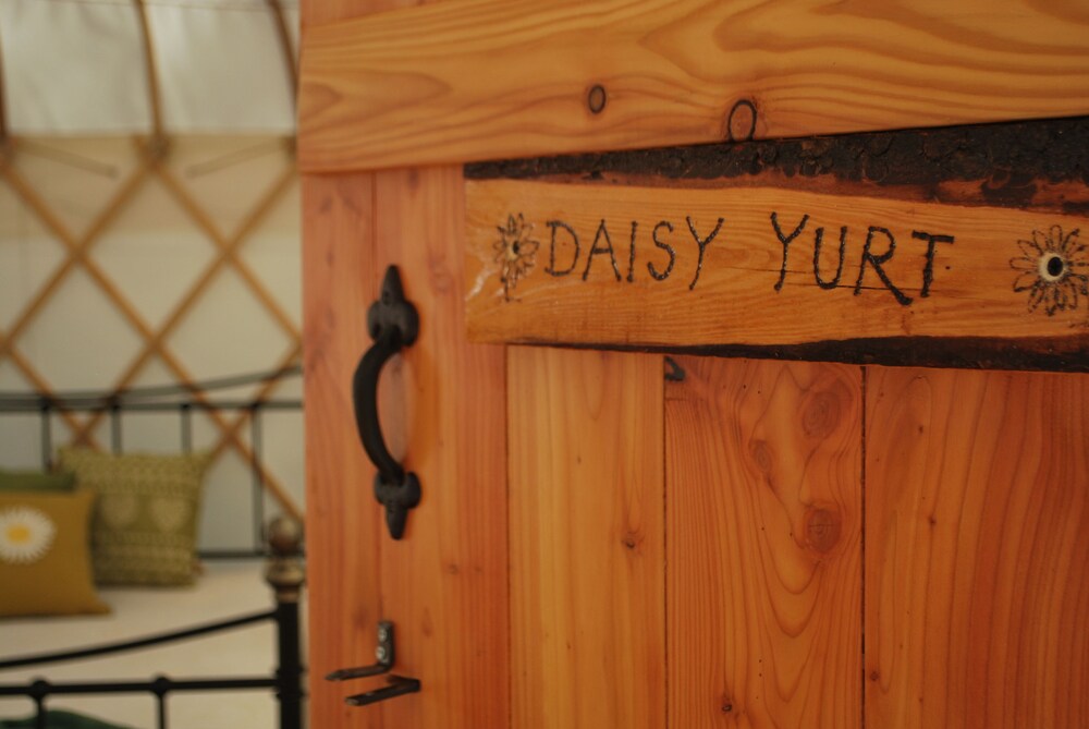 Romantic Tent, 1 Double Bed, Lake View (Daisy Yurt) - Guestroom