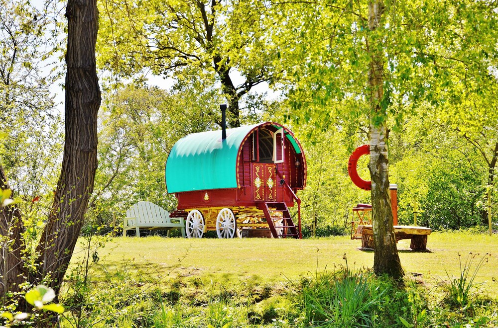 Cabin (Rose Gypsy Wagon) - Guestroom