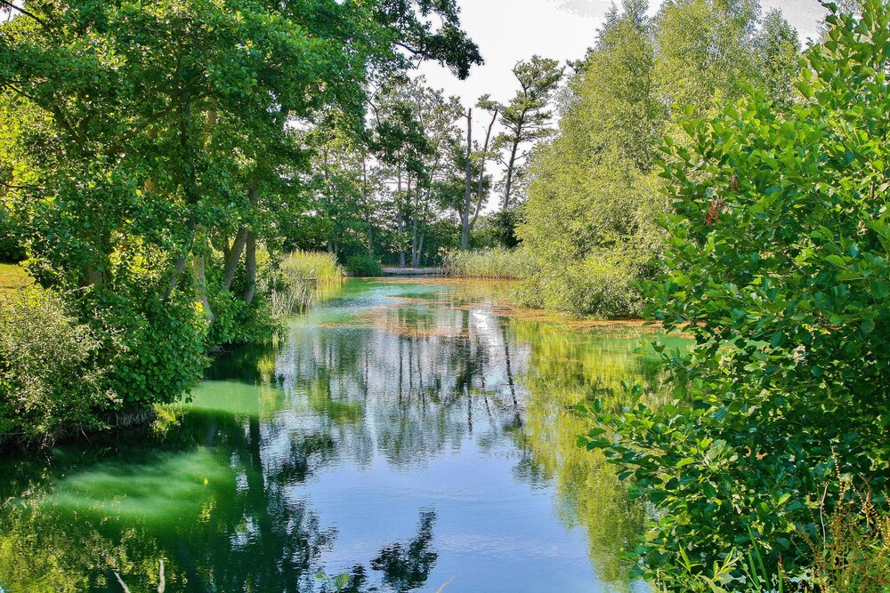 Lake