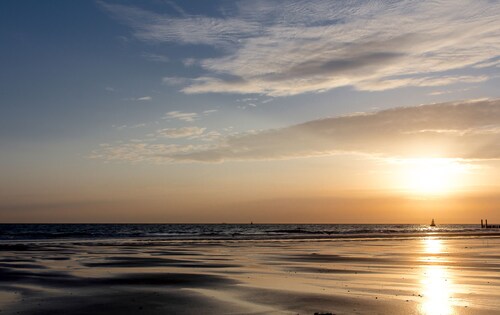 Boszicht 2 aan de Kust ruim appartement voor 2 volw. en 2 kind. Strand 800 meter