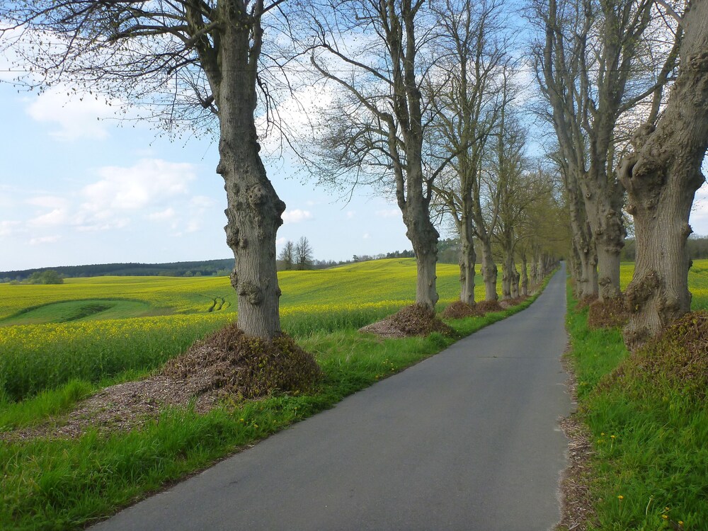Ansicht von oben