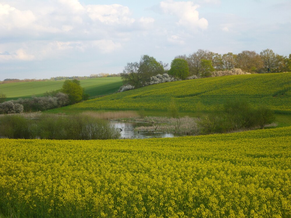 Ansicht von oben