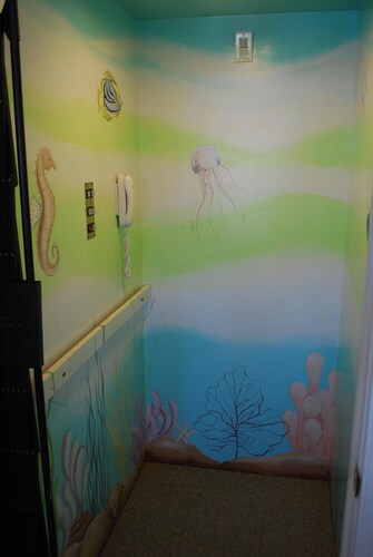 Spacious Luxury, Bay Views, Elevator, Xbox