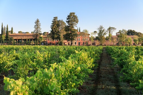 Château Saint-Roux Le Luc- Le Cannet des Maures