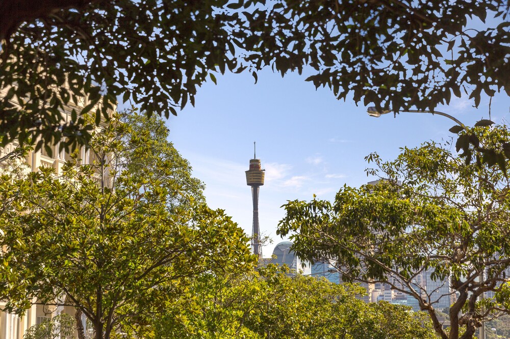 City View