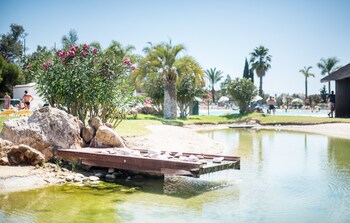 Lake