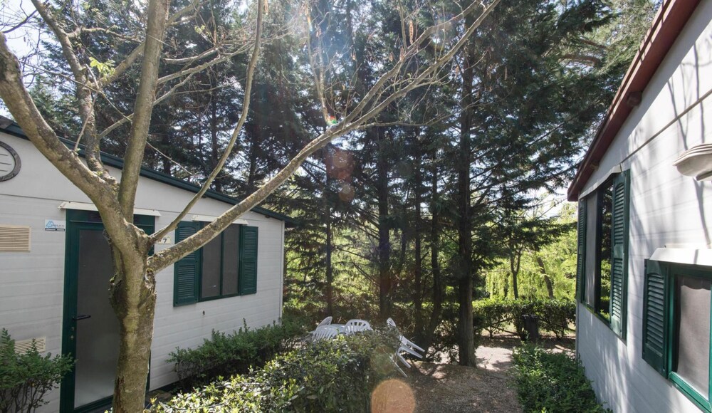 Superior Bungalow - Guestroom View