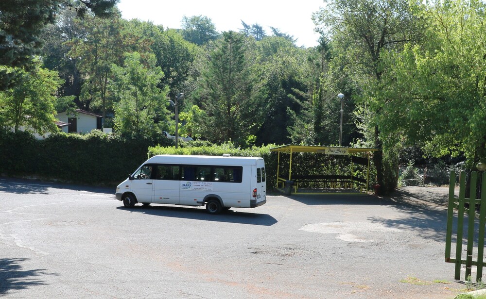 City Shuttle