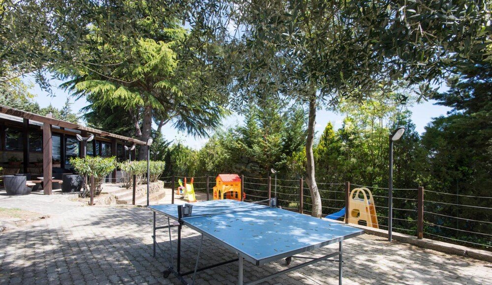 Sports Facility