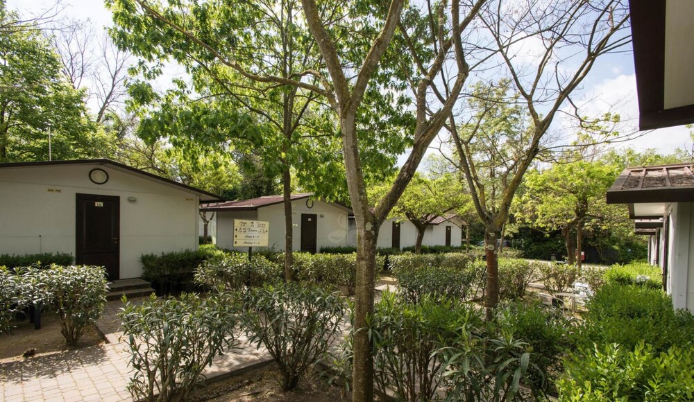 Standard Bungalow (2 Adults) - Guestroom View