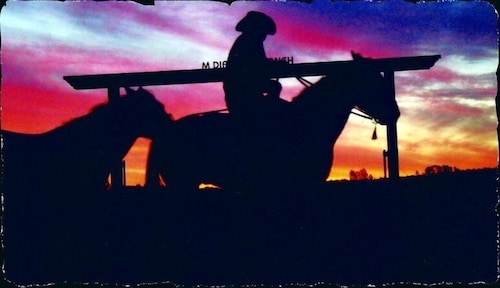 Horse Riding