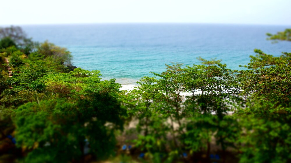 Guestroom View