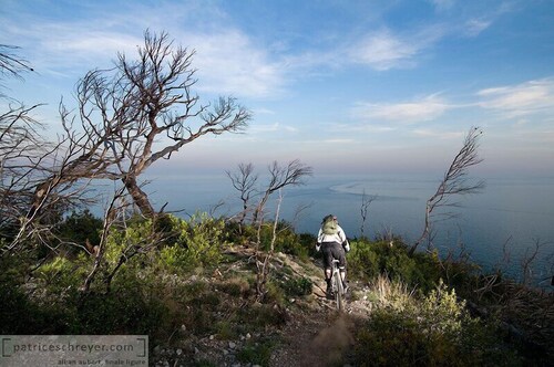 Biciclette