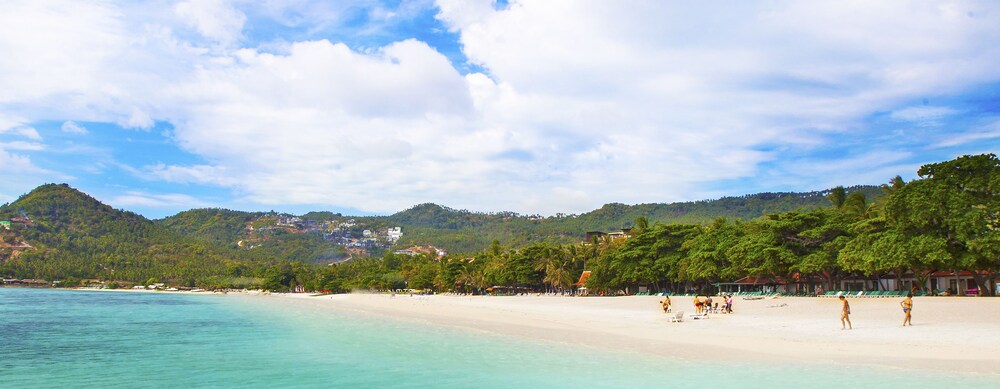 Beach/Ocean View