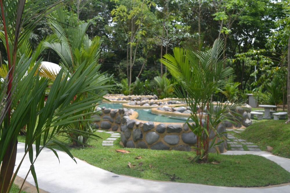 Natural Pool