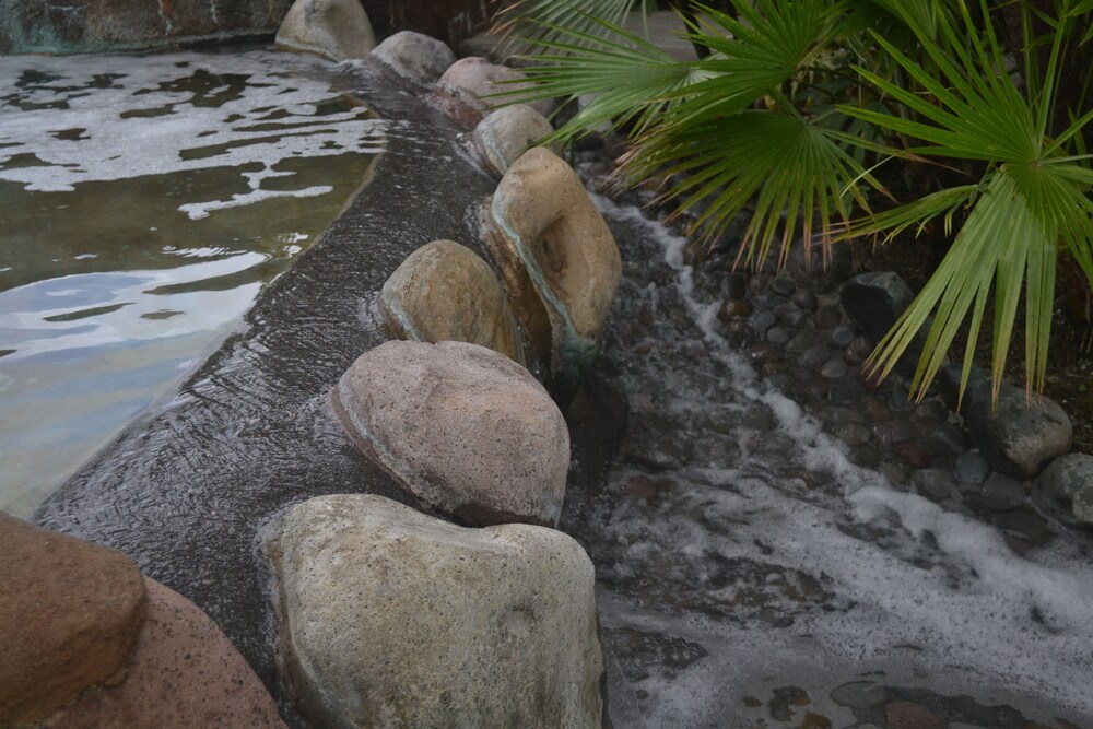 Natural Pool