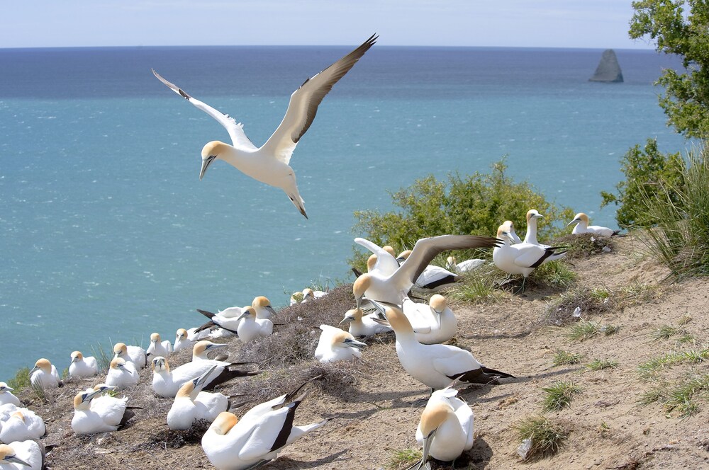 Ecotours