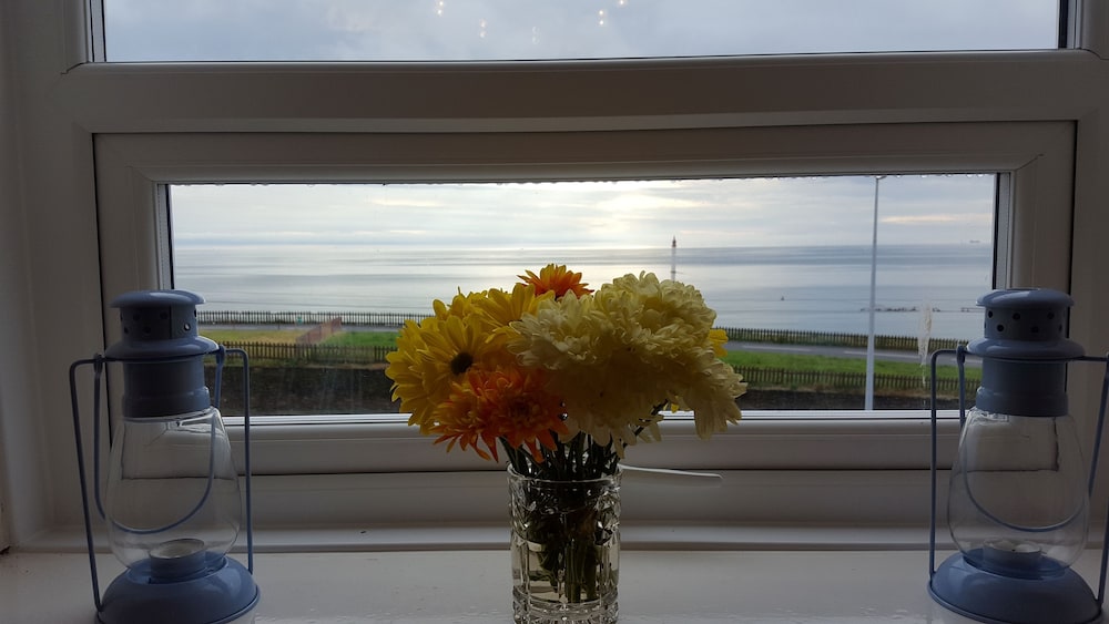 Guestroom View