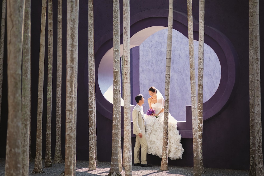 Outdoor Wedding Area