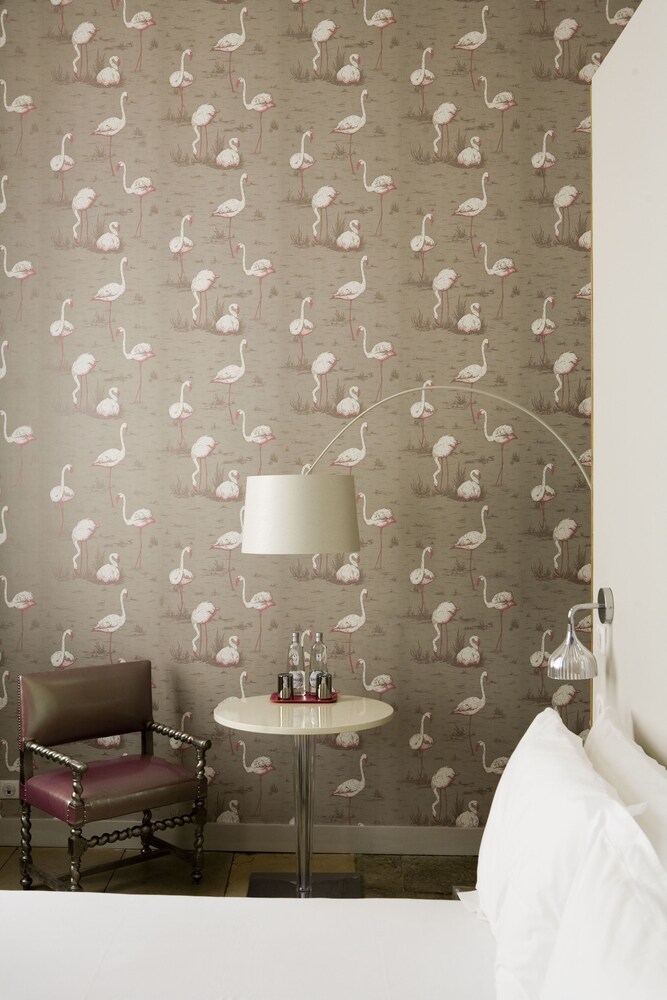 Suite - Guestroom