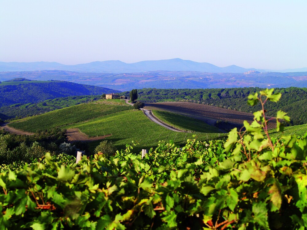 Azienda vinicola