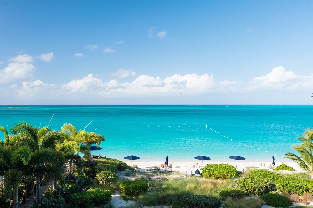 Beach/Ocean View