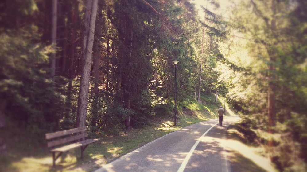 Percorsi da trekking