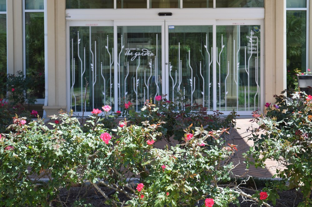 Hotel Entrance